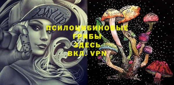 прущий лед Богородск