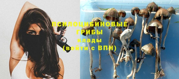 соль ск Богородицк